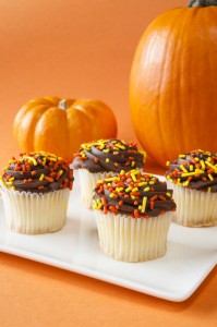 <img src="halloween cupcakes.jpg" alt="chocolate halloween cupcakes with pumpkins ">